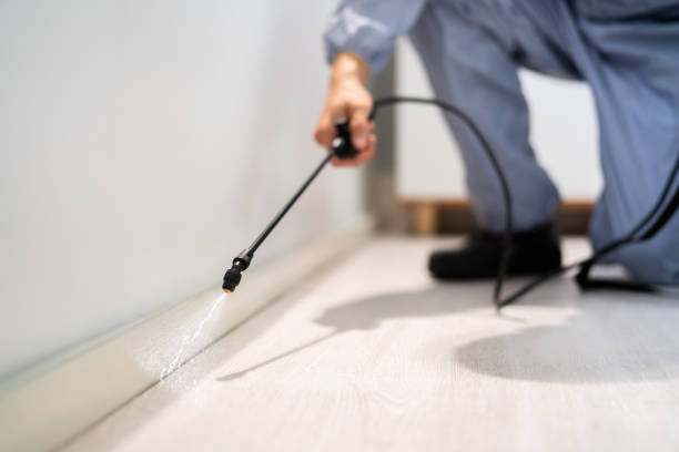 Licensed Mosquito Control service in Springfield, MN - Nex Pest Control