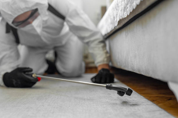 Professional Mosquito Control technician working in Springfield, MN