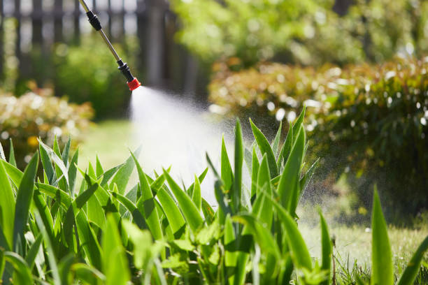 24/7 Emergency Mosquito Control experts in Springfield, MN