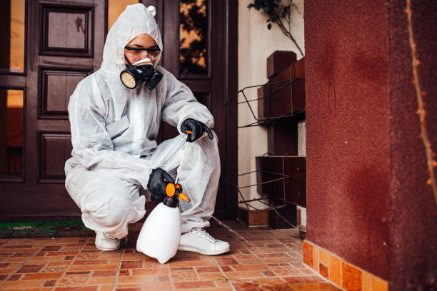 Reliable Mosquito Control contractor in Springfield, MN by Nex Pest Control