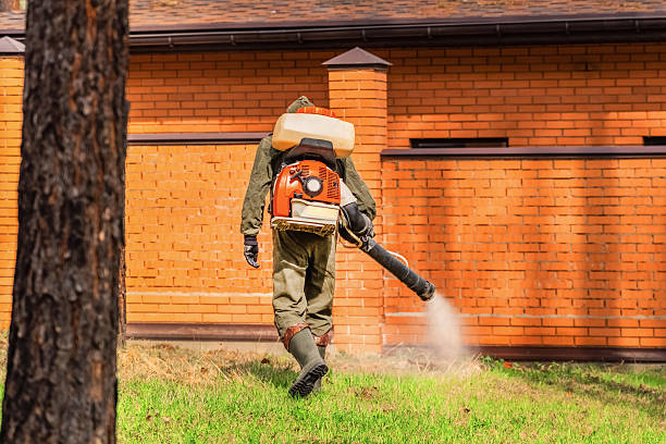 Top rated local Mosquito Control specialists in Springfield, MN